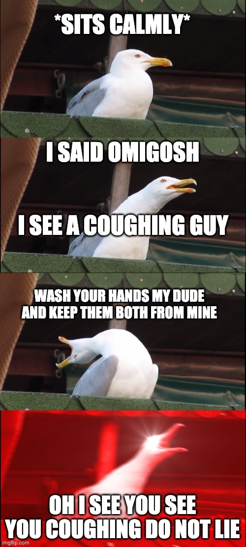 Inhaling Seagull | *SITS CALMLY*; I SAID OMIGOSH; I SEE A COUGHING GUY; WASH YOUR HANDS MY DUDE AND KEEP THEM BOTH FROM MINE; OH I SEE YOU SEE YOU COUGHING DO NOT LIE | image tagged in memes,inhaling seagull,coronavirus,dance,monkey | made w/ Imgflip meme maker