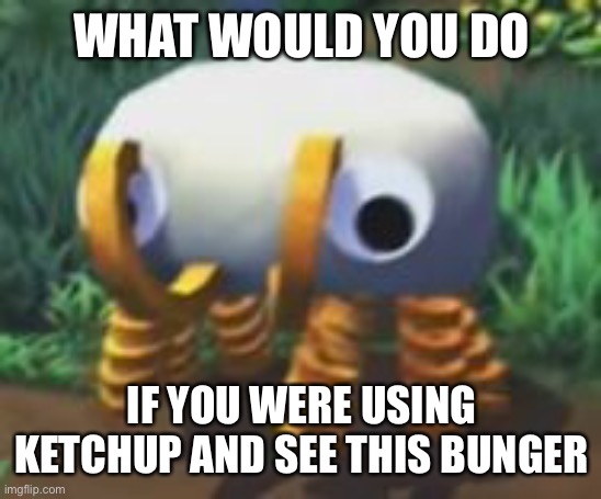 Bunger | WHAT WOULD YOU DO; IF YOU WERE USING KETCHUP AND SEE THIS BUNGER | image tagged in bunger | made w/ Imgflip meme maker