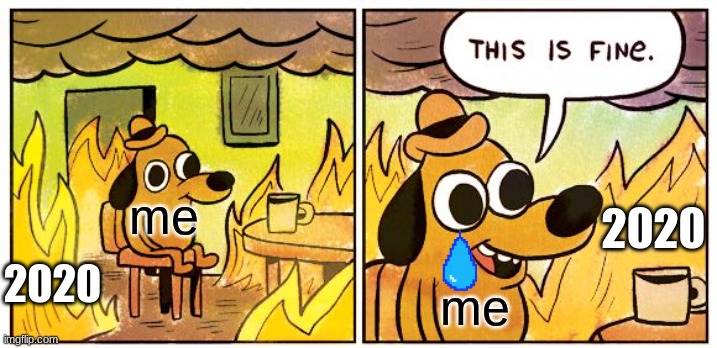 Is it really tho? | 2020; me; 2020; me | image tagged in memes,this is fine,2020 sucks | made w/ Imgflip meme maker