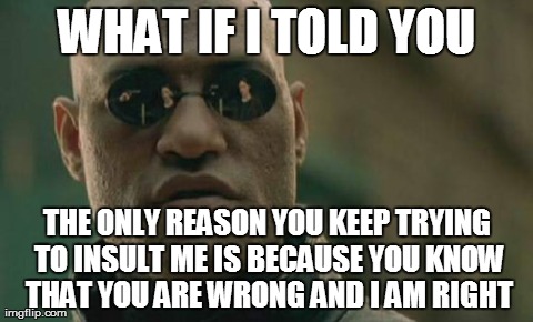 Matrix Morpheus Meme | WHAT IF I TOLD YOU THE ONLY REASON YOU KEEP TRYING TO INSULT ME IS BECAUSE YOU KNOW THAT YOU ARE WRONG AND I AM RIGHT | image tagged in memes,matrix morpheus | made w/ Imgflip meme maker