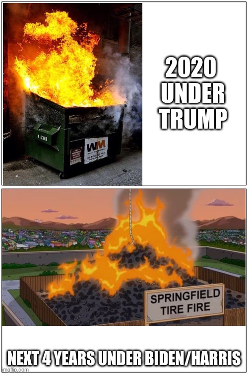 We're Screwed! | 2020 
UNDER
TRUMP; NEXT 4 YEARS UNDER BIDEN/HARRIS | image tagged in political meme,dumpster fire | made w/ Imgflip meme maker