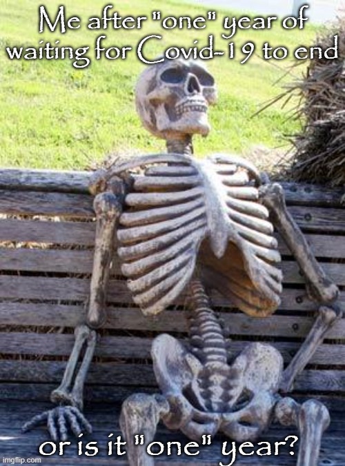 It's been a whole year or has it? | Me after "one" year of waiting for Covid-19 to end; or is it "one" year? | image tagged in memes,waiting skeleton,covid-19,coronavirus,it's been 84 years,jk | made w/ Imgflip meme maker