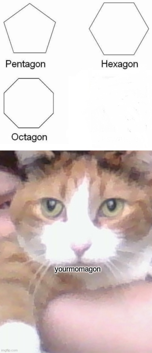 yourmomagon | image tagged in memes,pentagon hexagon octagon | made w/ Imgflip meme maker