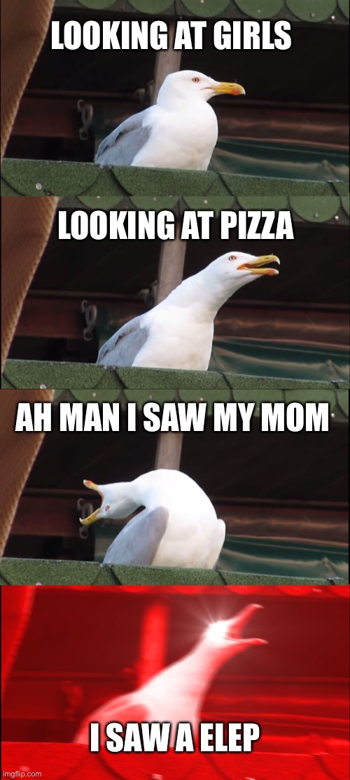 Sorry bout da typo it’s supposed to say elephant | LOOKING AT GIRLS; LOOKING AT PIZZA; AH MAN I SAW MY MOM; I SAW A ELEPHANT | image tagged in memes,inhaling seagull | made w/ Imgflip meme maker