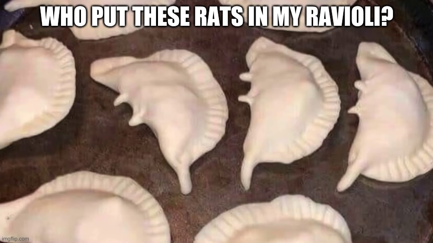 wtf | WHO PUT THESE RATS IN MY RAVIOLI? | image tagged in memes,funny,rats,ravioli,food,why | made w/ Imgflip meme maker