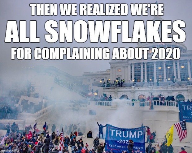 2020 All Snowflakes | THEN WE REALIZED WE'RE; ALL SNOWFLAKES; FOR COMPLAINING ABOUT 2020 | image tagged in 2021,2020,snowflakes,dc,washington,riots | made w/ Imgflip meme maker