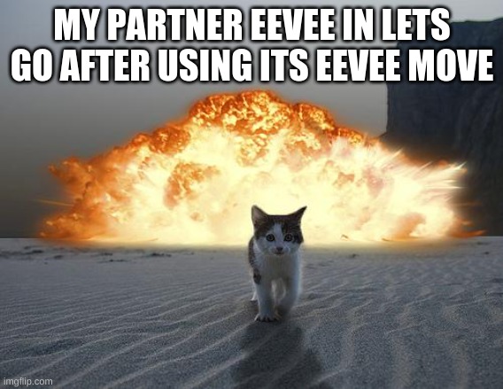 cat explosion | MY PARTNER EEVEE IN LETS GO AFTER USING ITS EEVEE MOVE | image tagged in cat explosion | made w/ Imgflip meme maker