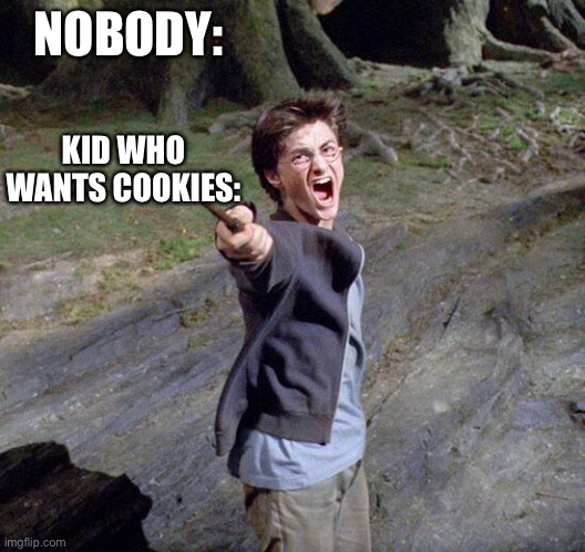 Who let the wizards out? | NOBODY:; KID WHO WANTS COOKIES: | image tagged in harry potter | made w/ Imgflip meme maker
