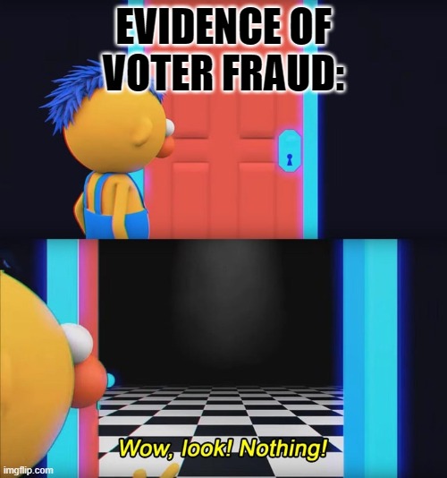 Wow, look! Nothing! | EVIDENCE OF VOTER FRAUD: | image tagged in wow look nothing | made w/ Imgflip meme maker