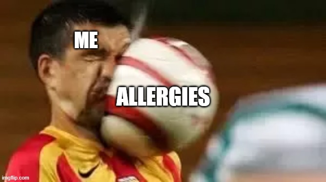 When people ask me how my day is during allergy season | ME; ALLERGIES | image tagged in allergies,having a bad day | made w/ Imgflip meme maker