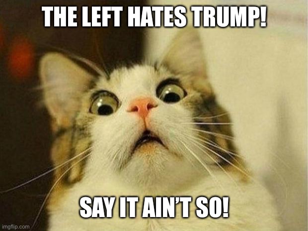 Say it ain’t so! | THE LEFT HATES TRUMP! SAY IT AIN’T SO! | image tagged in memes,scared cat,haters,trump | made w/ Imgflip meme maker