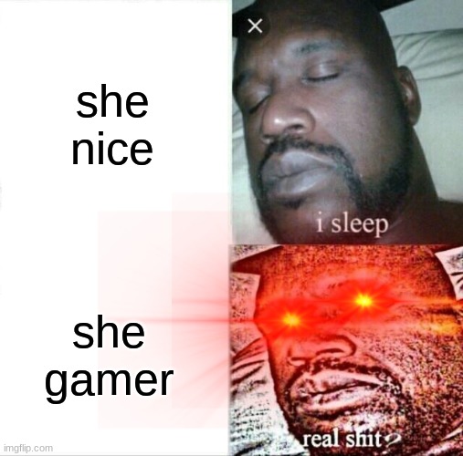 Sleeping Shaq | she nice; she gamer | image tagged in memes,sleeping shaq | made w/ Imgflip meme maker