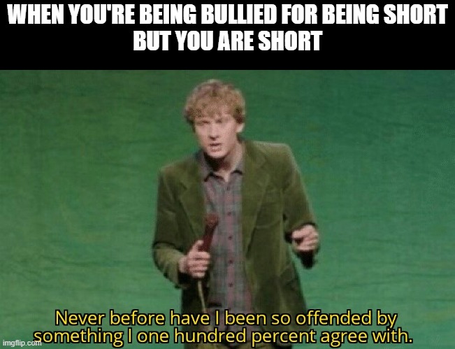 Never before have I been so offended by something I one hundred | WHEN YOU'RE BEING BULLIED FOR BEING SHORT
BUT YOU ARE SHORT | image tagged in never before have i been so offended by something i one hundred | made w/ Imgflip meme maker