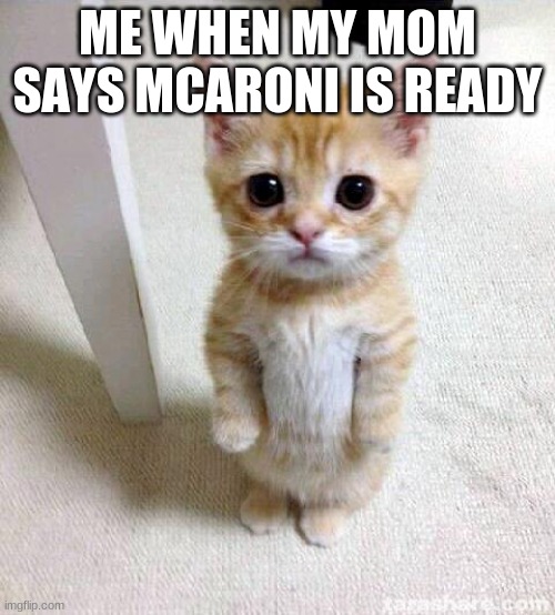 Cute Cat | ME WHEN MY MOM SAYS MCARONI IS READY | image tagged in memes,cute cat | made w/ Imgflip meme maker