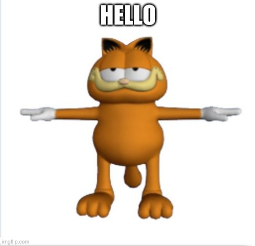 garfield t-pose | HELLO | image tagged in garfield t-pose | made w/ Imgflip meme maker