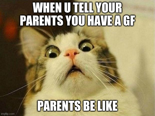 Scared Cat Meme | WHEN U TELL YOUR PARENTS YOU HAVE A GF; PARENTS BE LIKE | image tagged in memes,scared cat | made w/ Imgflip meme maker