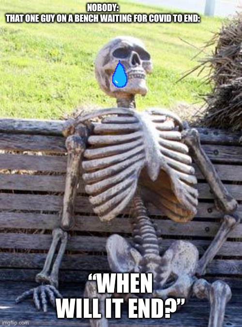 Waiting for COIVD | NOBODY:
THAT ONE GUY ON A BENCH WAITING FOR COVID TO END:; “WHEN WILL IT END?” | image tagged in memes,waiting skeleton | made w/ Imgflip meme maker