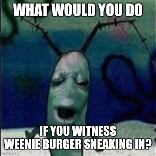 Plankton gets served | WHAT WOULD YOU DO; IF YOU WITNESS WEENIE BURGER SNEAKING IN? | image tagged in plankton gets served | made w/ Imgflip meme maker