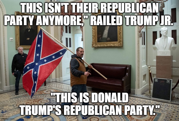 THIS ISN'T THEIR REPUBLICAN PARTY ANYMORE," RAILED TRUMP JR. "THIS IS DONALD TRUMP'S REPUBLICAN PARTY." | image tagged in donald trump approves | made w/ Imgflip meme maker