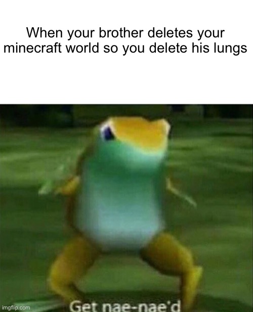 When you think of it, what was more valuable? | When your brother deletes your minecraft world so you delete his lungs | image tagged in get nae-nae'd | made w/ Imgflip meme maker