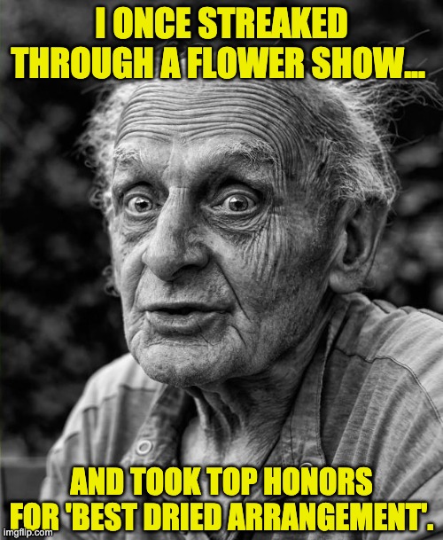 Streaking | I ONCE STREAKED THROUGH A FLOWER SHOW... AND TOOK TOP HONORS FOR 'BEST DRIED ARRANGEMENT'. | image tagged in old man | made w/ Imgflip meme maker
