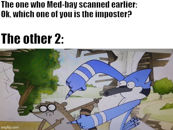 The Final 3 Be Like: | The one who Med-bay scanned earlier: Ok, which one of you is the imposter? The other 2: | image tagged in among us meeting,among us,there is one impostor among us | made w/ Imgflip meme maker