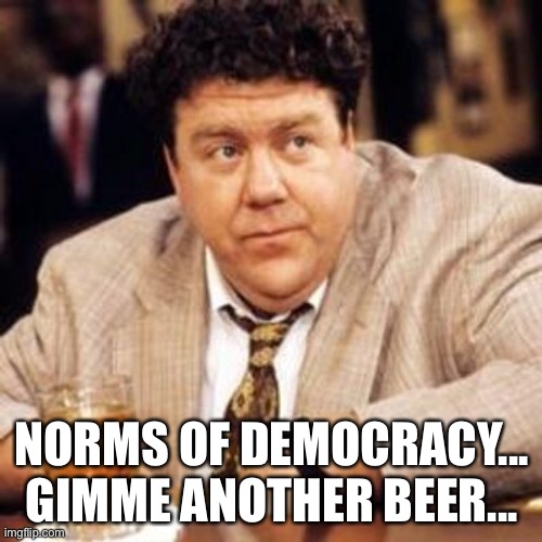 Norm Cheers | NORMS OF DEMOCRACY...
GIMME ANOTHER BEER... | image tagged in norm cheers | made w/ Imgflip meme maker