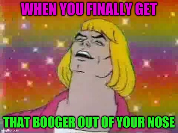 I just did and it felt GREAT | WHEN YOU FINALLY GET; THAT BOOGER OUT OF YOUR NOSE | image tagged in he man,booger,memes,funny,lol | made w/ Imgflip meme maker