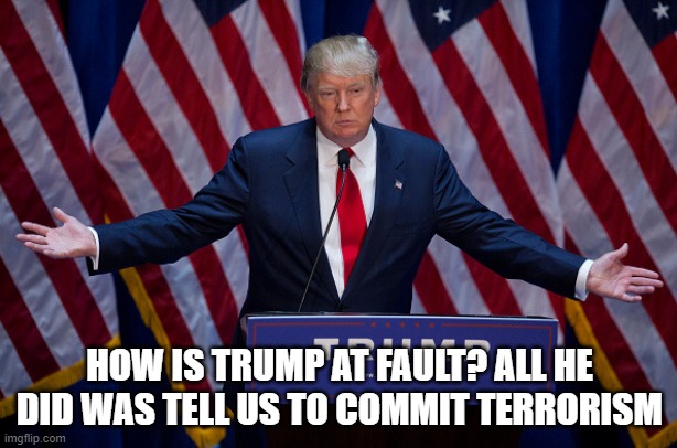 Donald Trump | HOW IS TRUMP AT FAULT? ALL HE DID WAS TELL US TO COMMIT TERRORISM | image tagged in donald trump | made w/ Imgflip meme maker