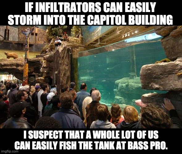 Security?" | IF INFILTRATORS CAN EASILY STORM INTO THE CAPITOL BUILDING; I SUSPECT THAT A WHOLE LOT OF US CAN EASILY FISH THE TANK AT BASS PRO. | image tagged in shitstorm | made w/ Imgflip meme maker