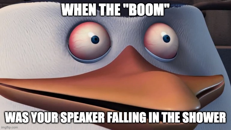 Shook Skipper | WHEN THE "BOOM"; WAS YOUR SPEAKER FALLING IN THE SHOWER | image tagged in shook skipper | made w/ Imgflip meme maker