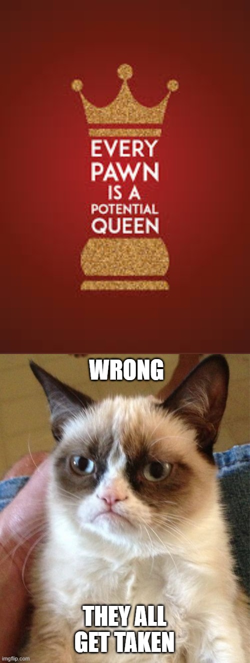 WRONG | WRONG; THEY ALL GET TAKEN | image tagged in memes,grumpy cat,chess | made w/ Imgflip meme maker