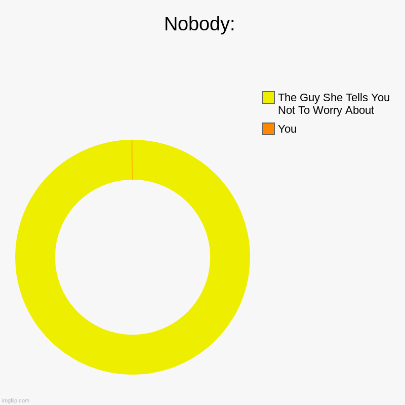 Nobody: | You, The Guy She Tells You Not To Worry About | image tagged in charts,donut charts | made w/ Imgflip chart maker