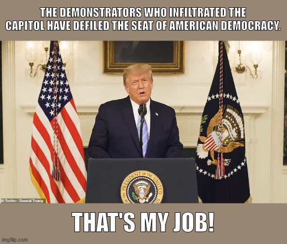 Trump condemns Capitol MAGA demonstrators | THE DEMONSTRATORS WHO INFILTRATED THE CAPITOL HAVE DEFILED THE SEAT OF AMERICAN DEMOCRACY. THAT'S MY JOB! | image tagged in trump,capitol,presidential election,maga | made w/ Imgflip meme maker