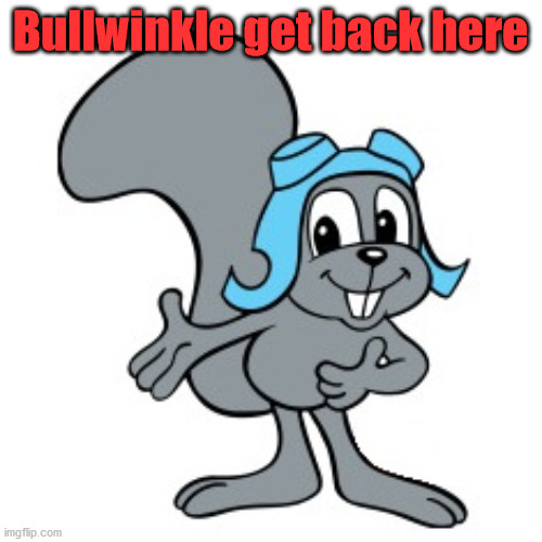 Rocky Squirrel | Bullwinkle get back here | image tagged in rocky squirrel | made w/ Imgflip meme maker