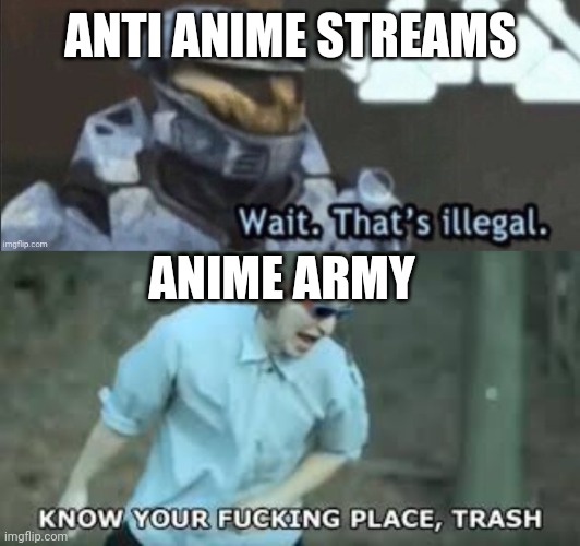 Hey deku could I be a mod | ANTI ANIME STREAMS; ANIME ARMY | image tagged in anime,wait thats illegal | made w/ Imgflip meme maker