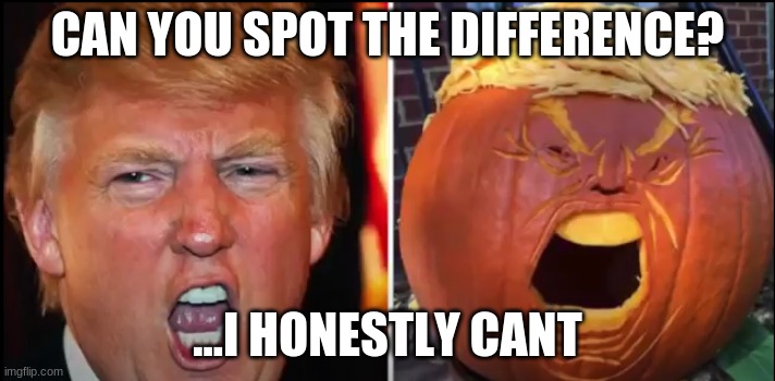 Can you find it? | CAN YOU SPOT THE DIFFERENCE? ...I HONESTLY CANT | image tagged in shoot | made w/ Imgflip meme maker