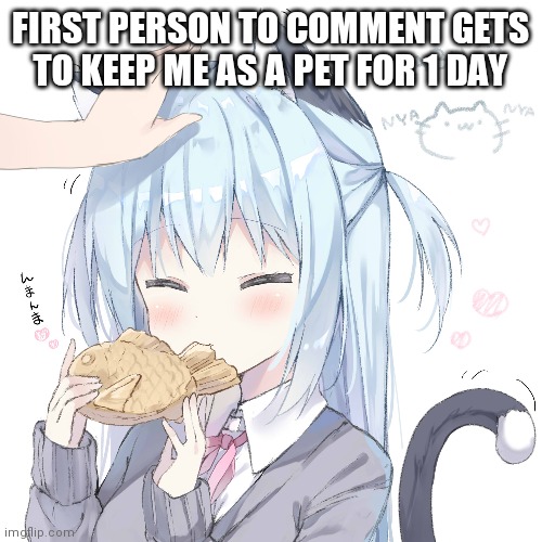 Nekogirl | FIRST PERSON TO COMMENT GETS TO KEEP ME AS A PET FOR 1 DAY | image tagged in nekogirl | made w/ Imgflip meme maker