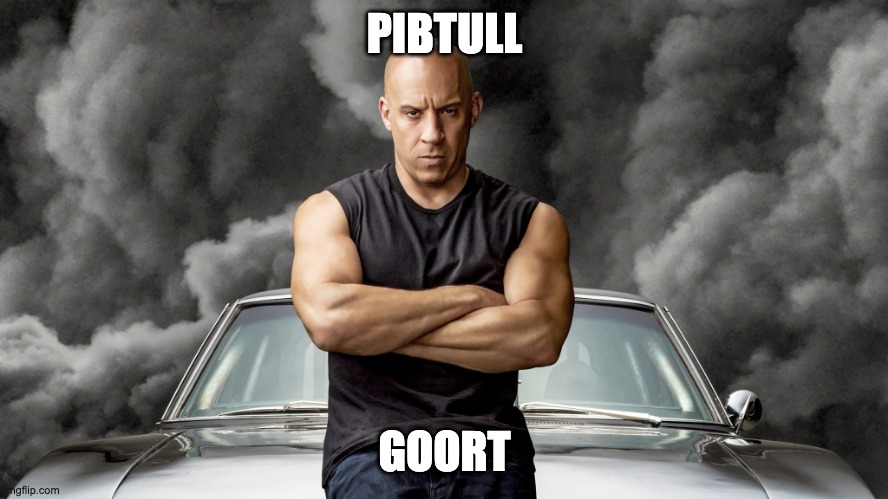pitbull | PIBTULL; GOORT | image tagged in pitbull,groot,grumpy cat,lol so funny | made w/ Imgflip meme maker