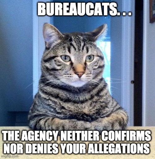 BureauCATs | BUREAUCATS. . . THE AGENCY NEITHER CONFIRMS NOR DENIES YOUR ALLEGATIONS | image tagged in serious cat | made w/ Imgflip meme maker