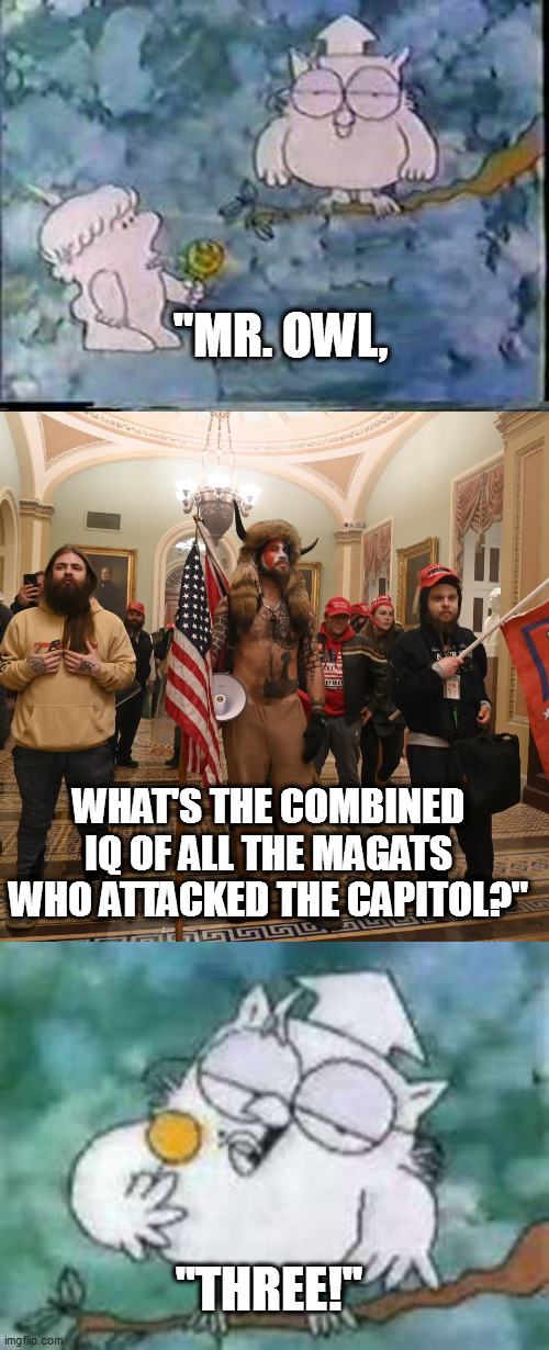 Idiot MAGAts on the loose! | "MR. OWL, WHAT'S THE COMBINED IQ OF ALL THE MAGATS WHO ATTACKED THE CAPITOL?"; "THREE!" | image tagged in three trump fans in capitol | made w/ Imgflip meme maker