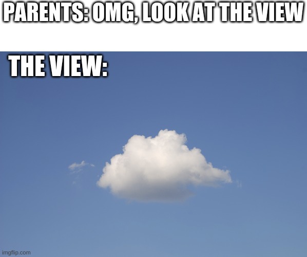 If you like this meme, you might like my other ones too: https://imgflip.com/all/user-images/Kingpancake | PARENTS: OMG, LOOK AT THE VIEW; THE VIEW: | image tagged in cloud | made w/ Imgflip meme maker