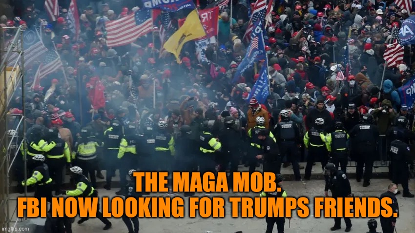 THE MAGA MOB.
FBI NOW LOOKING FOR TRUMPS FRIENDS. | made w/ Imgflip meme maker