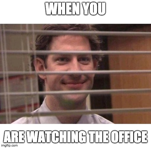 Jim Office Blinds | WHEN YOU; ARE WATCHING THE OFFICE | image tagged in jim office blinds | made w/ Imgflip meme maker