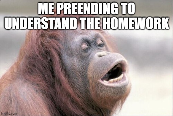 Monkey OOH |  ME PREENDING TO UNDERSTAND THE HOMEWORK | image tagged in memes,monkey ooh | made w/ Imgflip meme maker