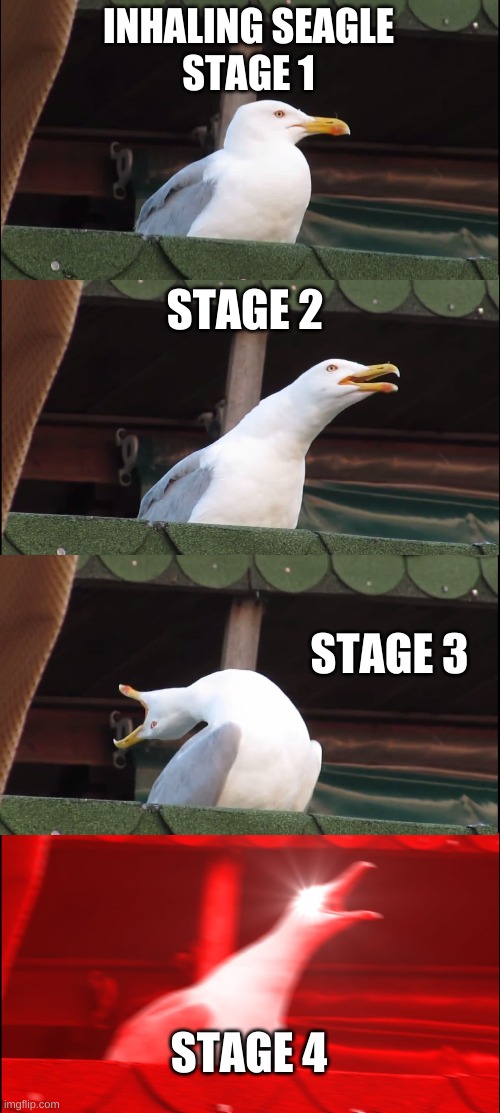Inhaling Seagull Meme | INHALING SEAGLE
STAGE 1; STAGE 2; STAGE 3; STAGE 4 | image tagged in memes,inhaling seagull | made w/ Imgflip meme maker