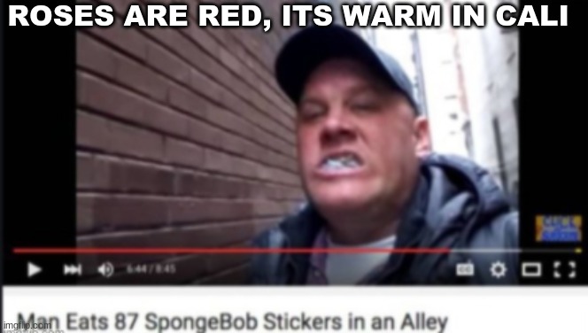man eats 87 spongebob stickers in an alley | ROSES ARE RED, ITS WARM IN CALI | image tagged in memes | made w/ Imgflip meme maker