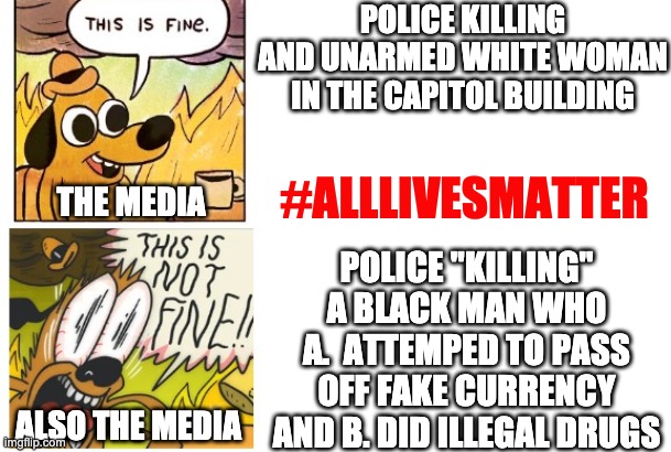 Checkmate | POLICE KILLING AND UNARMED WHITE WOMAN IN THE CAPITOL BUILDING; #ALLLIVESMATTER; POLICE "KILLING" A BLACK MAN WHO A.  ATTEMPED TO PASS OFF FAKE CURRENCY AND B. DID ILLEGAL DRUGS; THE MEDIA; ALSO THE MEDIA | image tagged in this is fine this is not fine | made w/ Imgflip meme maker