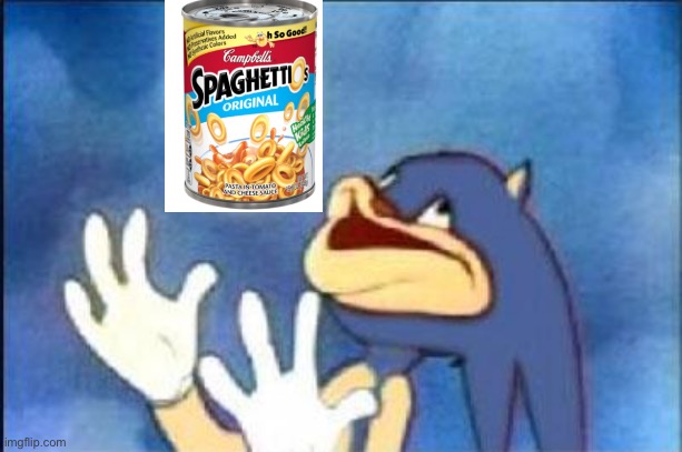 XD | image tagged in sonic derp | made w/ Imgflip meme maker