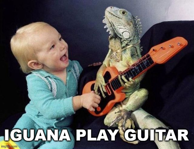 IGUANA PLAY GUITAR | image tagged in eye roll | made w/ Imgflip meme maker